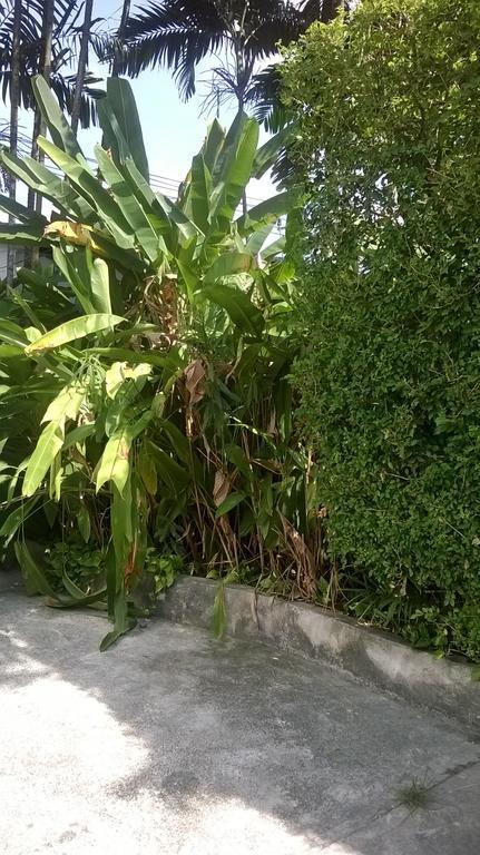 Baantonsai Garden Resort Patong Exterior photo